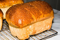 Cinnamon Raisin Bread, "junior" loaves, own recipe
20070512-14.43.09