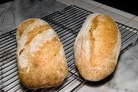 Pain au levain, from Daniel Leader's "Local Breads"
20070907-18.39.11